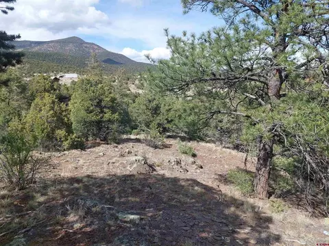 275 Wild Horse Trl, South Fork, CO 81154