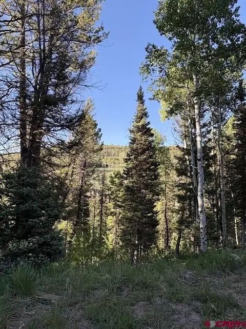 449 Ute Dr, Cimarron, CO 81220