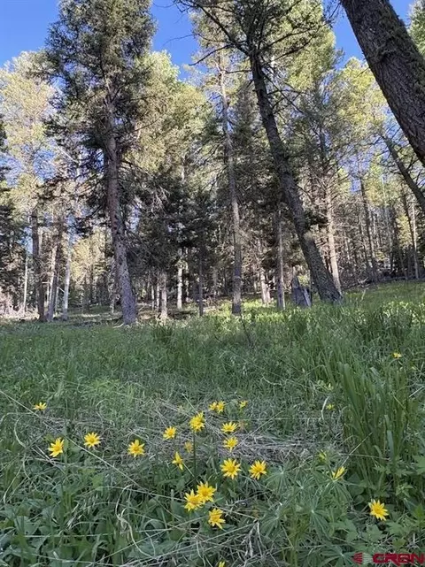 447 Ute Dr, Cimarron, CO 81220 photo 3