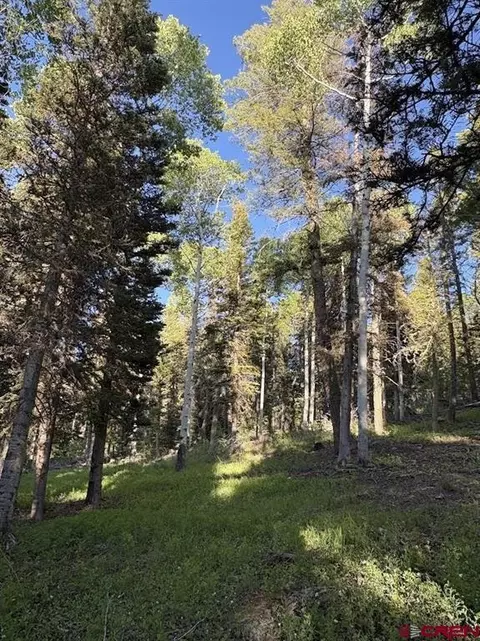 447 Ute Dr, Cimarron, CO 81220 photo 4