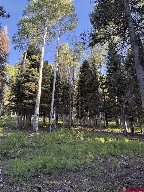 447 Ute Dr, Cimarron, CO 81220