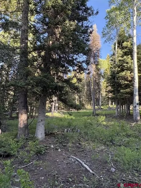 447 Ute Dr, Cimarron, CO 81220 photo 2
