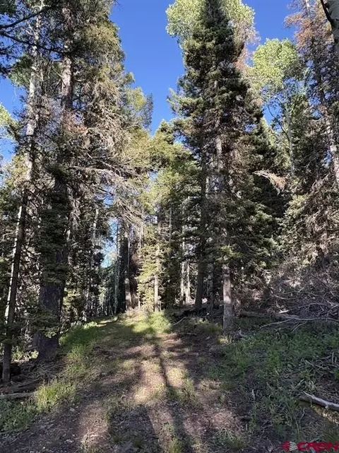 447 Ute Dr, Cimarron, CO 81220 photo 5