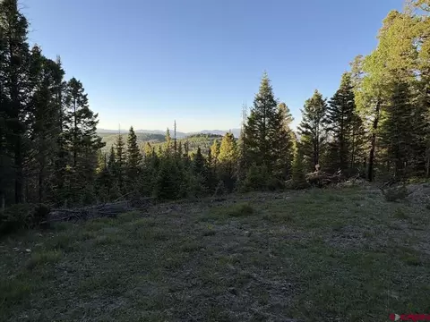 224 Crest Dr, Cimarron, CO 81220