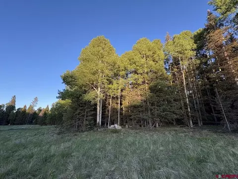 2150 Spruce Rd, Cimarron, CO 81220 photo 4