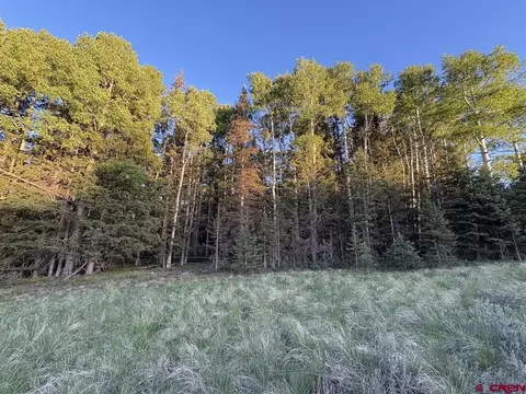2150 Spruce Rd, Cimarron, CO 81220 photo 3