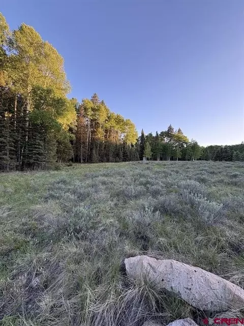 2150 Spruce Rd, Cimarron, CO 81220