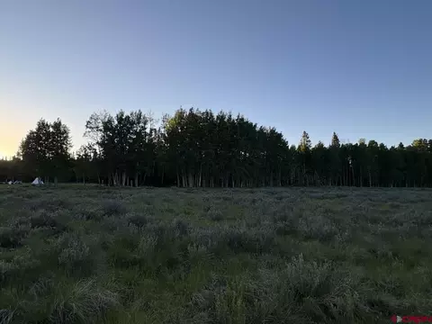 2150 Spruce Rd, Cimarron, CO 81220 photo 2