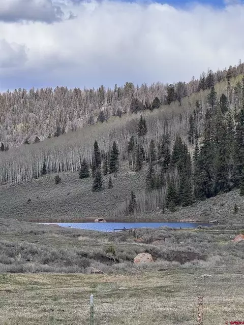 tbd Cardwell Draw Rd, Powderhorn, CO 81243