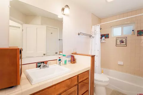 Bath - 2157 County Road 223, Durango, CO 81301 photo 3 of 4