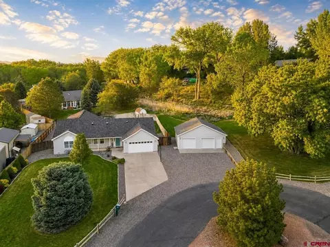 960 Willow Wood Ln, Delta, CO 81416