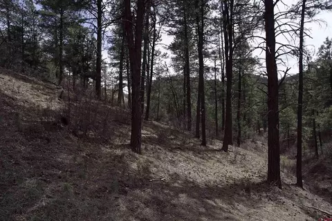 91 Hideaway Ct, Pagosa Springs, CO 81147