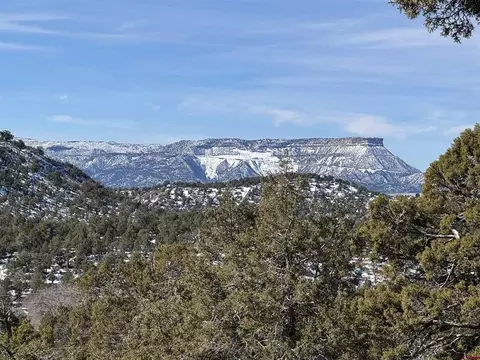 tbd Road 414, Mancos, CO 81328