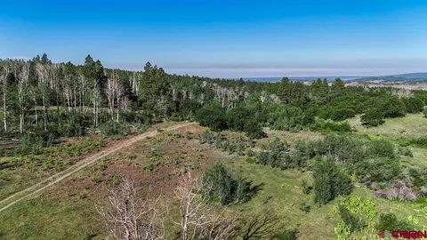 tbd Road N, Rico, CO 81332