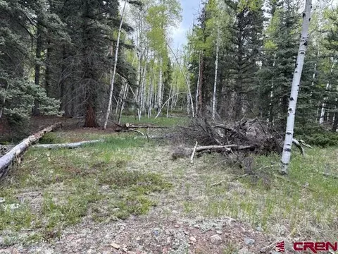 tbd Adams, Jasper, CO 81144 photo 2