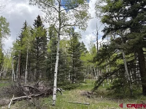 tbd Adams, Jasper, CO 81144 photo 3