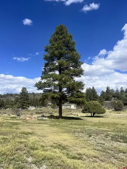 828 Beucler Ln, Pagosa Springs, CO 81147