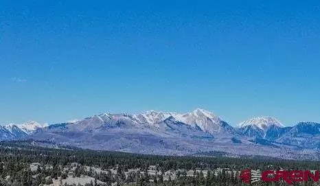 View/Area - 287 Wildcat Trl, Durango, CO 81301 photo 1 of 1