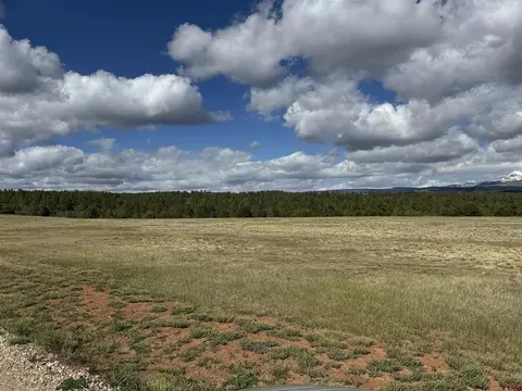tbd Road 392, Mancos, CO 81328