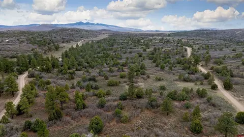 458 E Beaver Pines Loop, Norwood, CO 81423