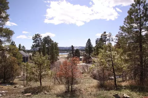 344 Caddy Cir, Pagosa Springs, CO 81147