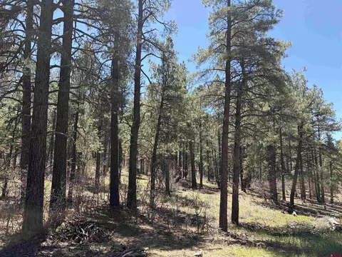 223 Deans Pl, Pagosa Springs, CO 81147