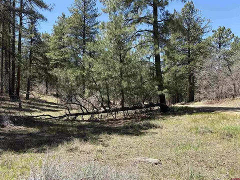 223 Deans Pl, Pagosa Springs, CO 81147
