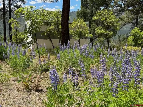 Other - 2326 Celadon Dr E, Durango, CO 81301 photo 10 of 26