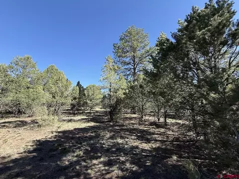 lot5 Cottontail Ln, Ridgway, CO 81432