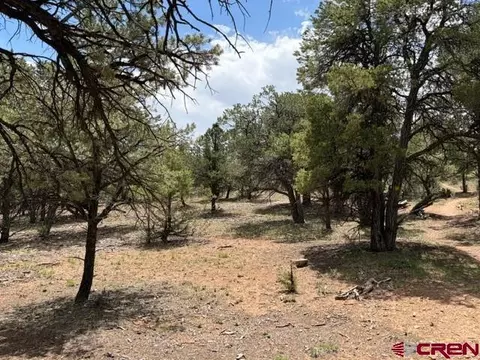 lot4 Pine Dr, Ridgway, CO 81432