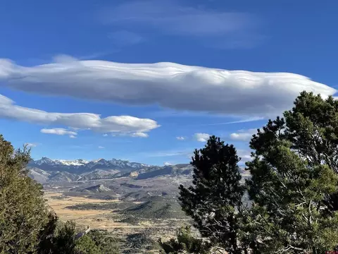 lot4 Pine Dr, Ridgway, CO 81432