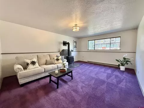 Living - 18 Oak Dr, Durango, CO 81301 photo 3 of 5