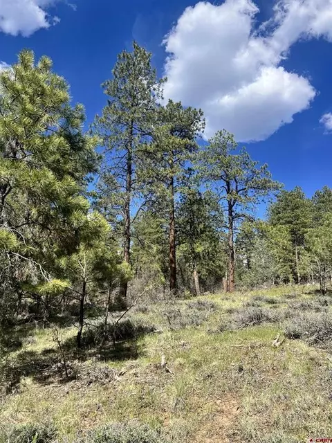 167 Justins Rd, Pagosa Springs, CO 81147