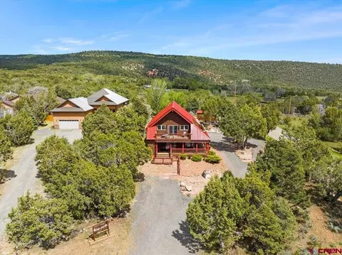 19016 Pinon Dr, Cedaredge, CO 81413