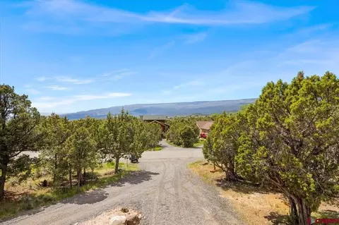 Other - 19016 Pinon Dr, Cedaredge, CO 81413 photo 11 of 12