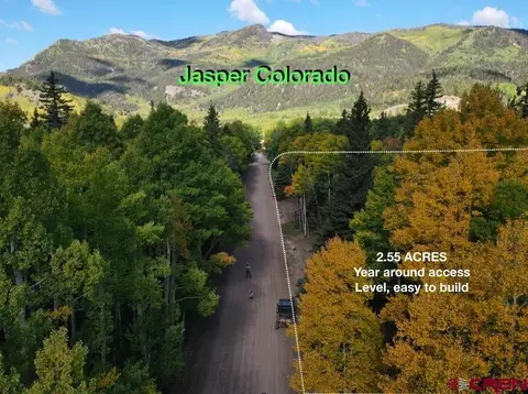 tbd Fsr 250, Jasper, CO 81132