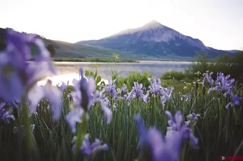 View/Area - 620 Gothic Rd #403, Crested Butte, CO 81225 photo 1 of 1