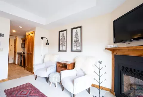 Living - 620 Gothic Rd #403, Crested Butte, CO 81225 photo 1 of 2