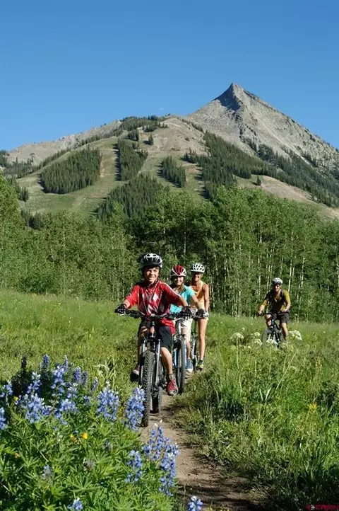 Other - 620 Gothic Rd #403, Crested Butte, CO 81225 photo 8 of 11