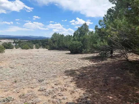 tbd Q Path And M Path, Cotopaxi, CO 81223 photo 4