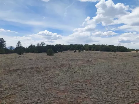 tbd Q Path And M Path, Cotopaxi, CO 81223 photo 11