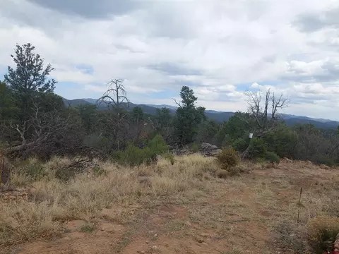 tbd Q Path And M Path, Cotopaxi, CO 81223 photo 22