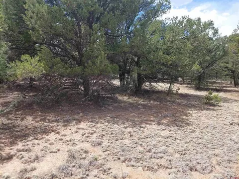 tbd Q Path And M Path, Cotopaxi, CO 81223 photo 8