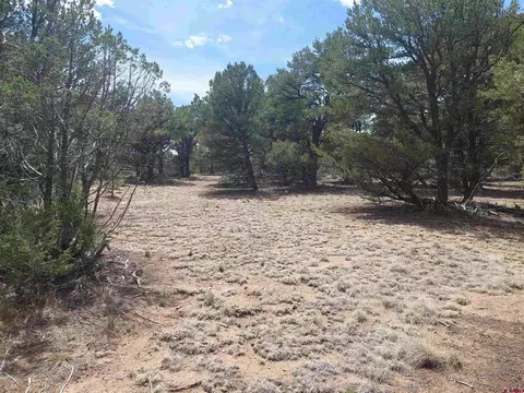 tbd Q Path And M Path, Cotopaxi, CO 81223 photo 10