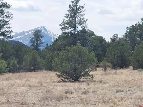 tbd Q Path And M Path, Cotopaxi, CO 81223