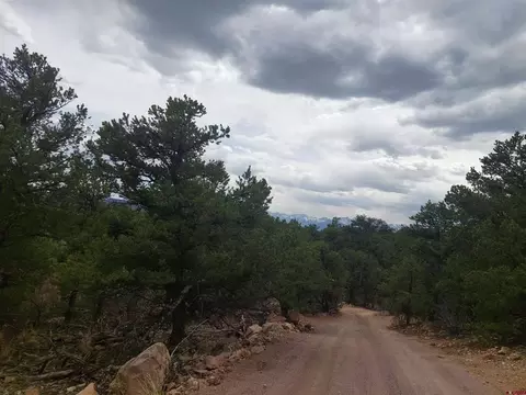 tbd Q Path And M Path, Cotopaxi, CO 81223 photo 17