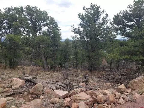 tbd Q Path And M Path, Cotopaxi, CO 81223 photo 18
