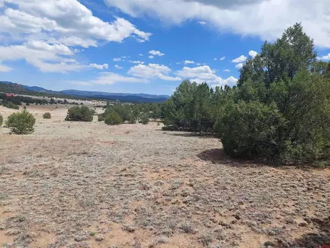 tbd Q Path And M Path, Cotopaxi, CO 81223 photo 6