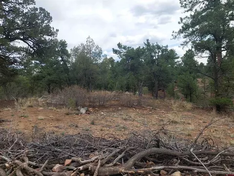 tbd Q Path And M Path, Cotopaxi, CO 81223 photo 21