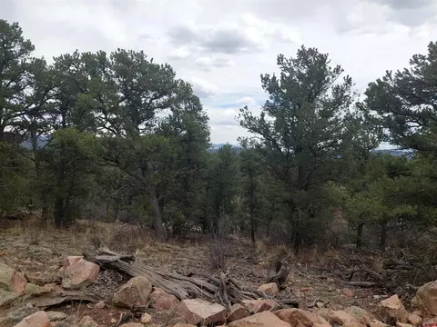 tbd Q Path And M Path, Cotopaxi, CO 81223 photo 19
